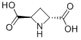 (±)-Trans-Azetidine-2,4-Dicarboxylic Acid Structure,121050-03-1Structure