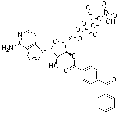 Bzatp結(jié)構(gòu)式_81790-82-1結(jié)構(gòu)式