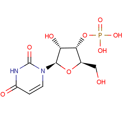 尿苷酸結構式_84-53-7結構式